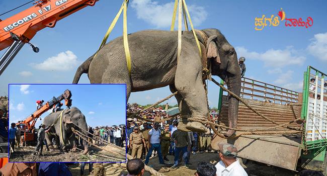 Elephant that killed 5 people in Goalpara is not 'Laden latest news